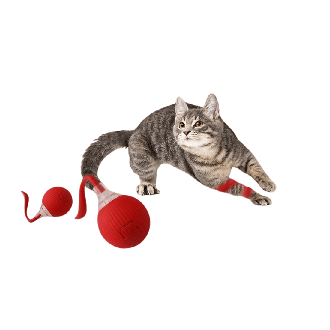 Juguete Inteligente para Gatos