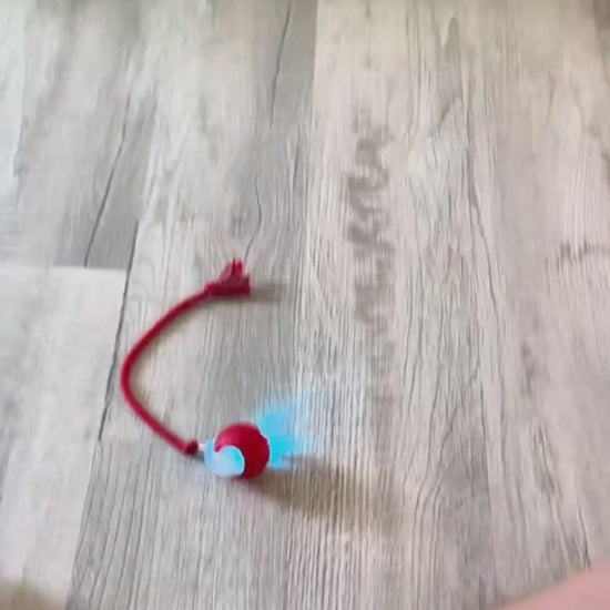Juguete Inteligente para Gatos