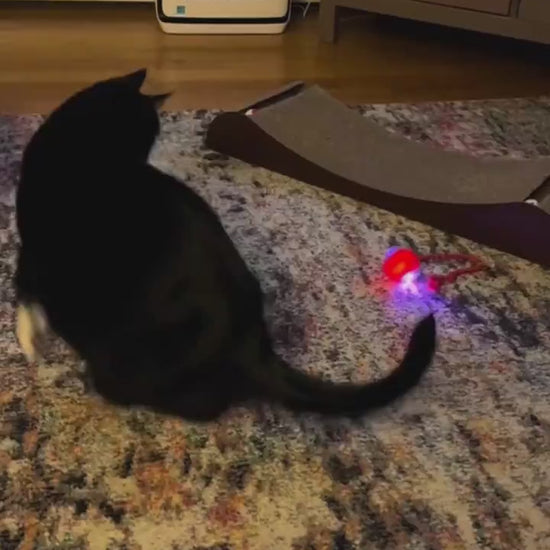 Juguete Inteligente para Gatos