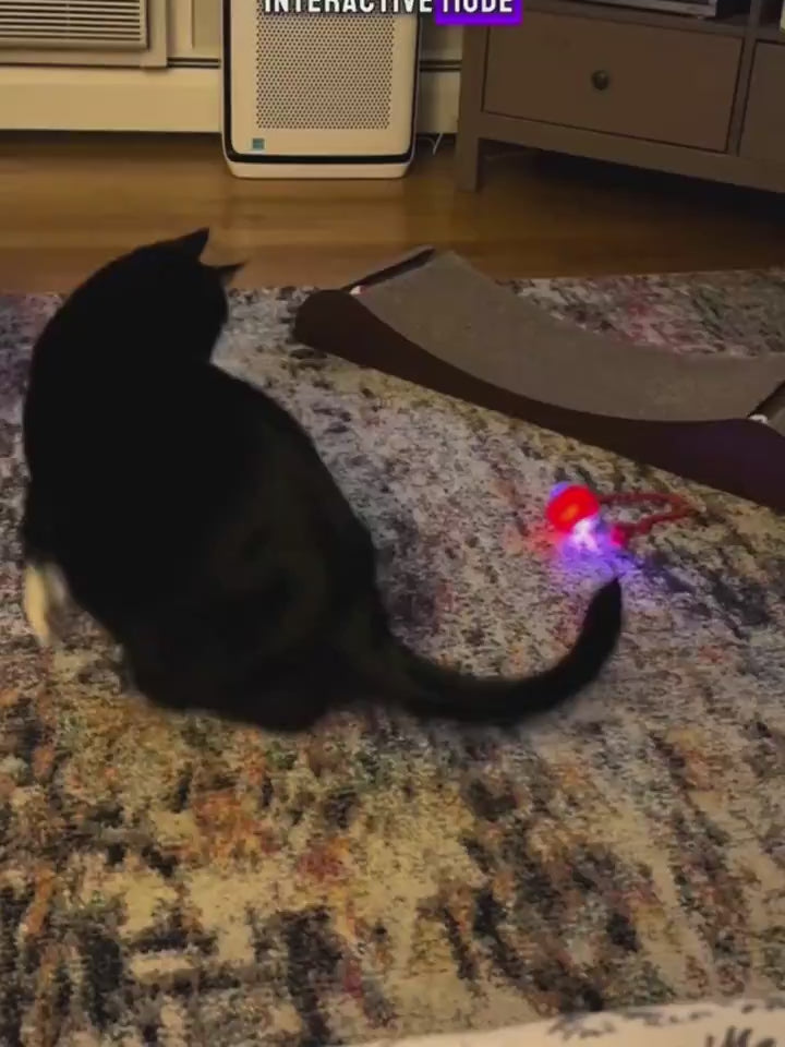 Juguete Inteligente para Gatos